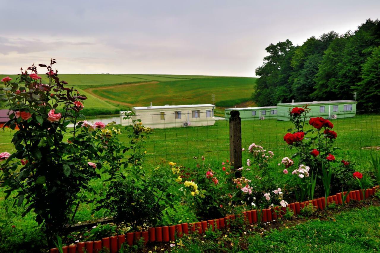 Lesny Zakatek Radocza Hotel Bagian luar foto